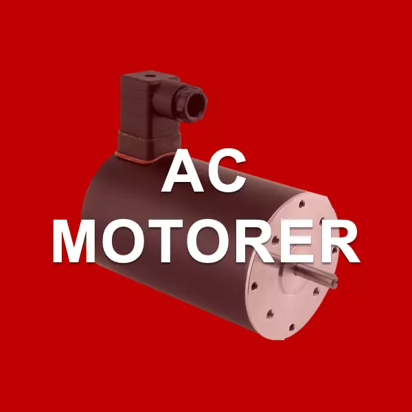 AC motor
